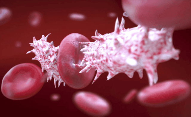 Do Genital Warts Cause Cancer?