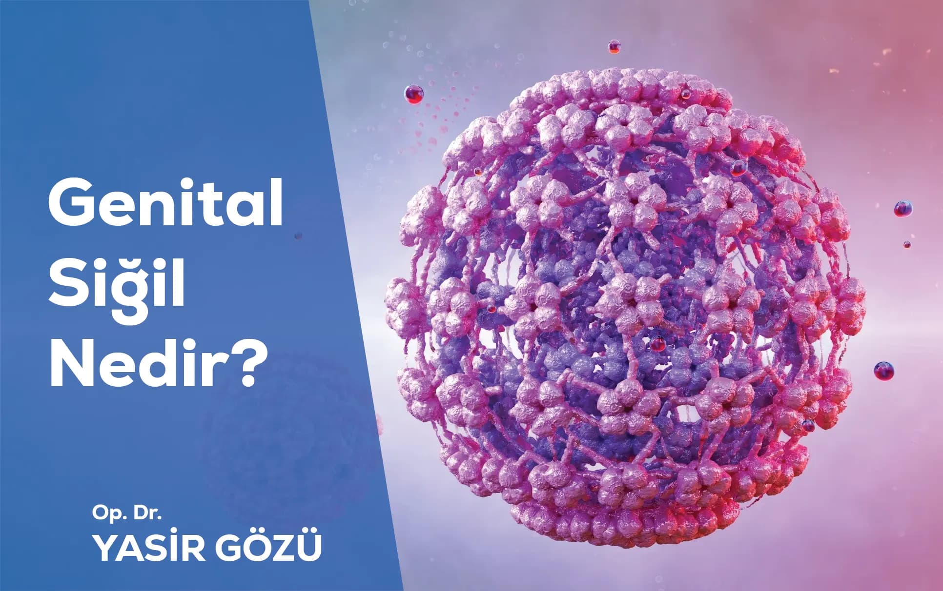 genital siğil nedir