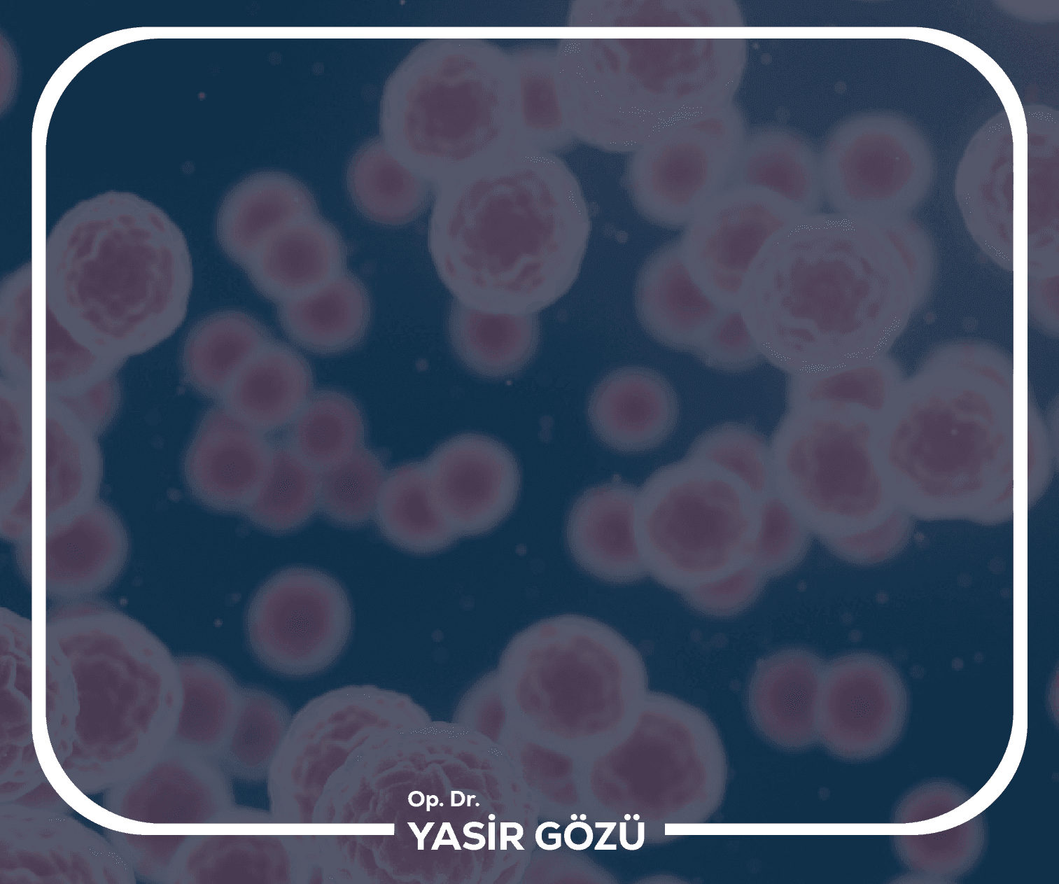 What Are Genital Warts?