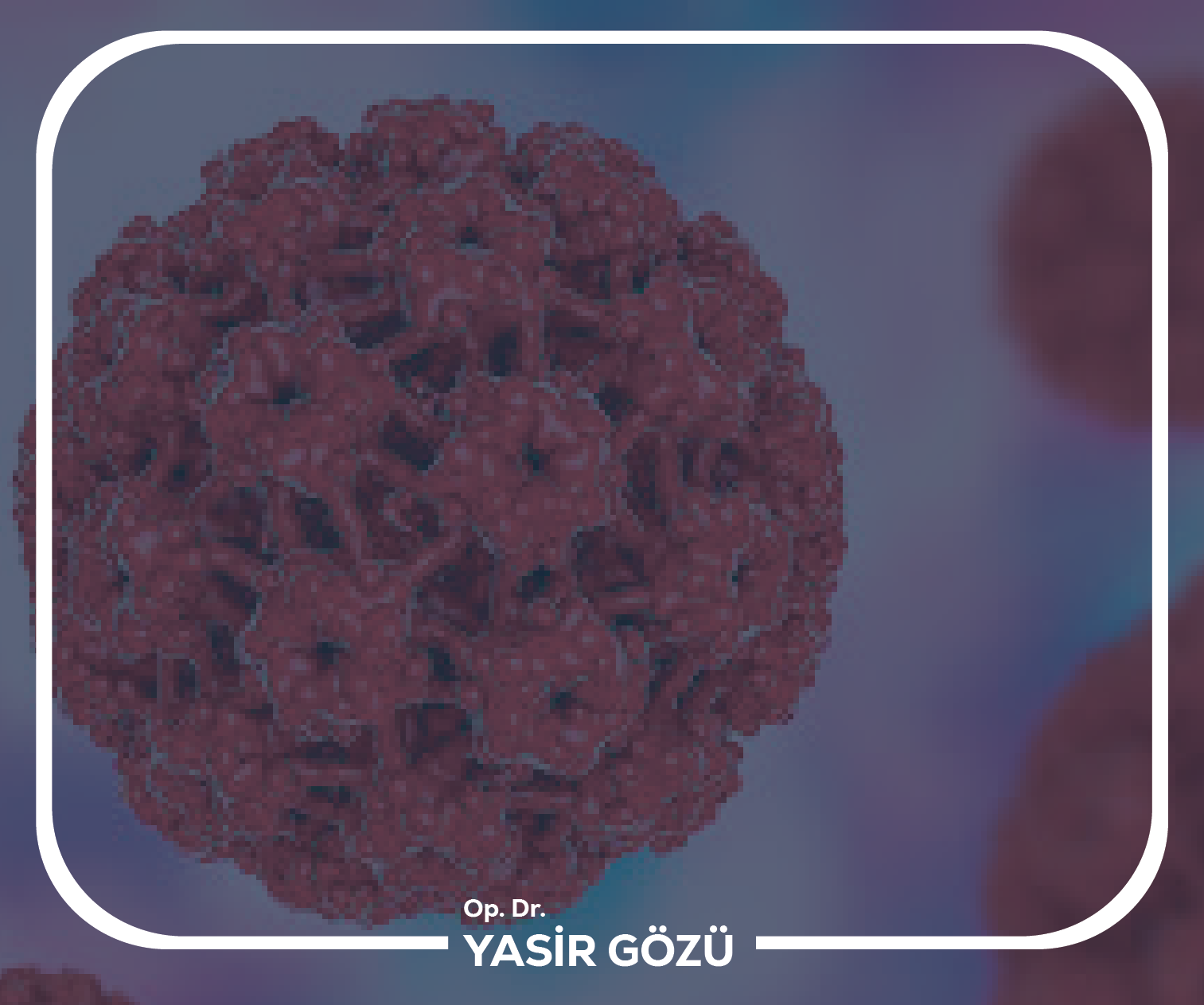 genital siğil