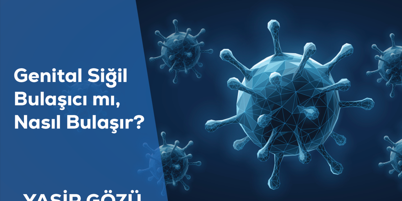 Genital Siğil Bulaşıcı mı, Nasıl Bulaşır?